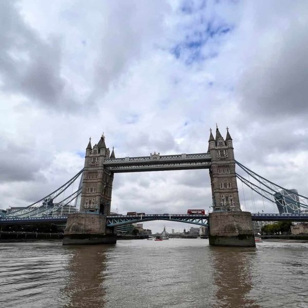 Dvoyager Visa Processing 4 (1)