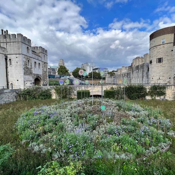 Dvoyager Visa Processing 6 (1)