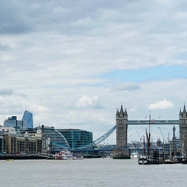 Dvoyager Visa Processing Services 8