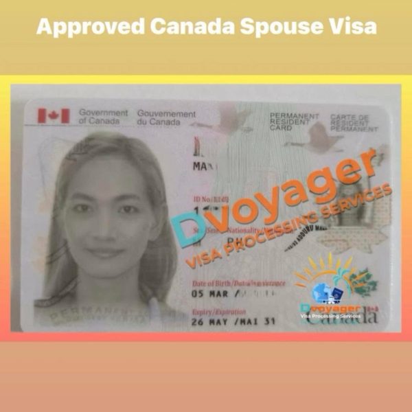 VISA REFUSED DONT WORRY WE FIX iT Reapply smarter with DVOYAGER 1