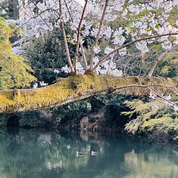 Visa Processing Services 111