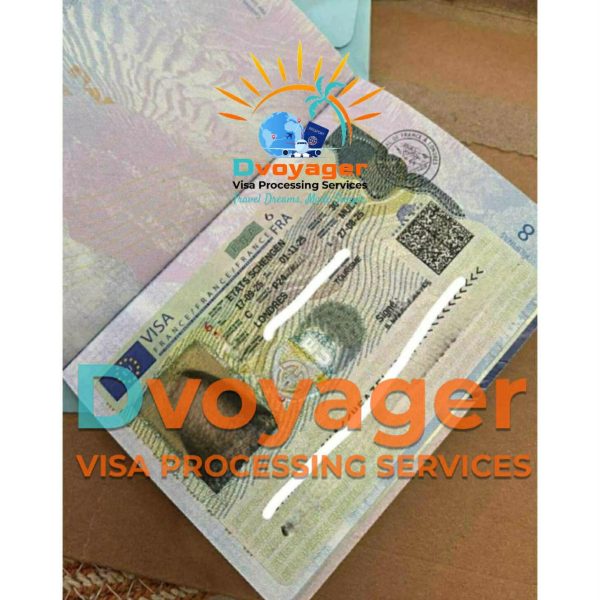 Visa Processing Services approved 11