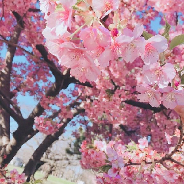 fe3dab60-fa36-4e96-8a1e-6e850f65774cmedia_editing.tmp