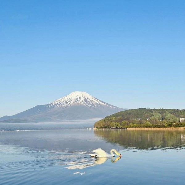 received_1964961684454635